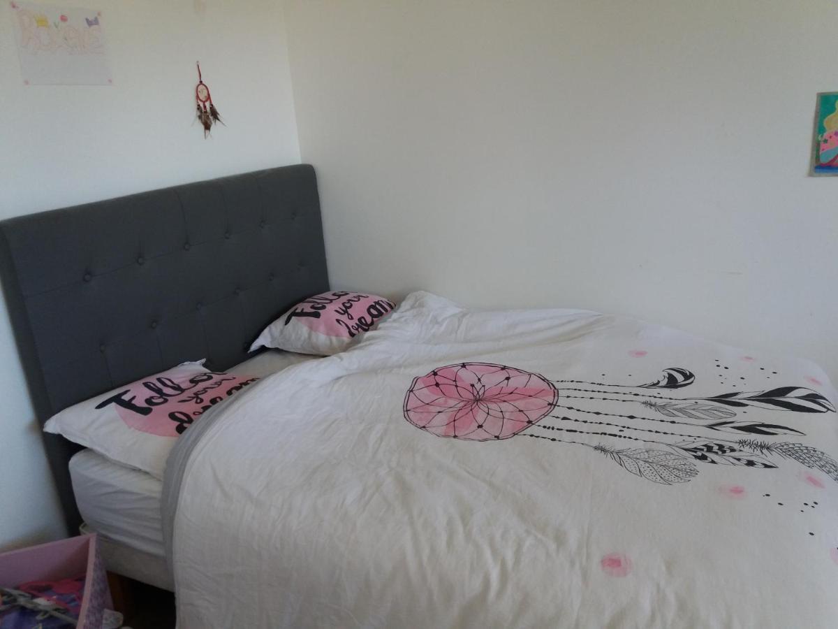 Chambres, cuisine, piscine, spa, billards, airhockey, nature Fillinges Extérieur photo